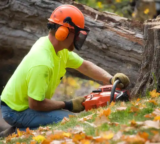 tree services Secretary